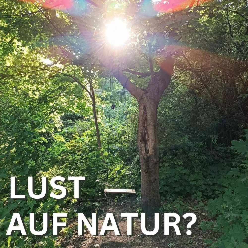 Weißer Text in Großbuchstaben: Lust auf Natur?
Hintergrund: Foto aus dem Wilden Wald, eine selbst gebastelte Schaukel ist zu sehen, sie hängt von einem Ast an einem kleineren Baum. Dahinter ist grünes Gestrüpp zu sehen durch das die Sonne strahlt.