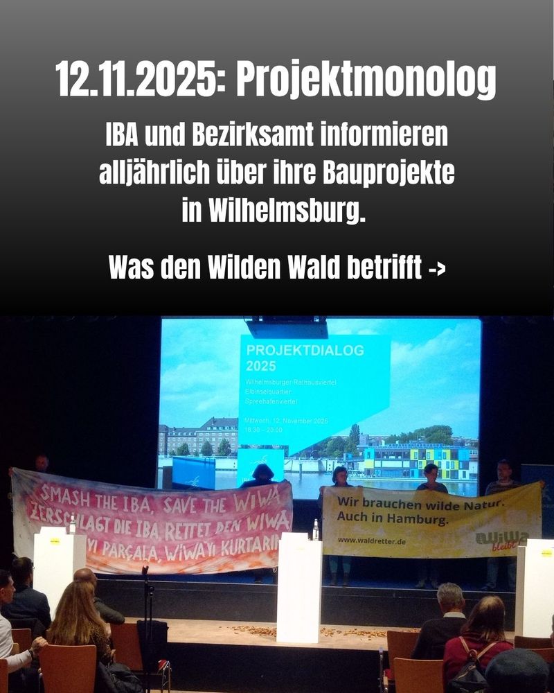 12.11.2025: Projektmonolog, IBA und Bezirksamt informieren alljährlich über ihre  Bauprojekte in Wilhelmsburg. Was den Wilden Wald betrifft: