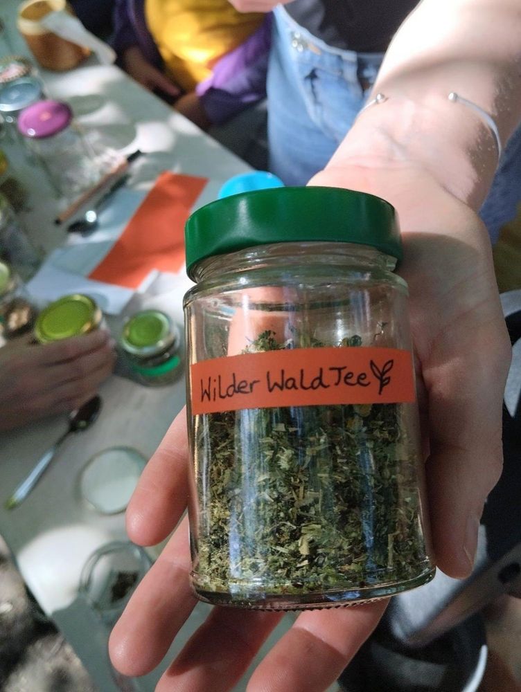 Eine Hand hält ein Glas, das mit "Wilder Wald Tee" beschriftet ist.