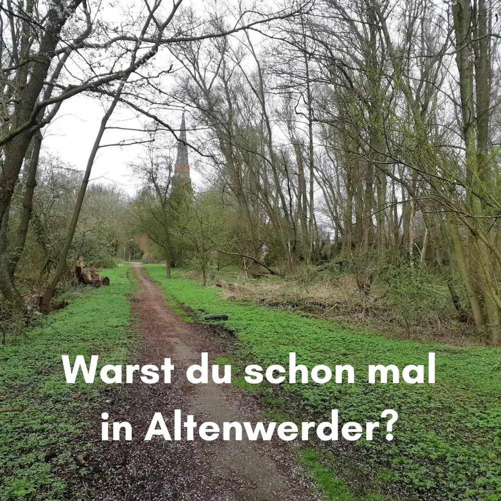 Ein Trampelpfad führt gerade aus. Rechts und Links wachsen Bäume und Unterholz. Im Hintergrund ist ein Kirchturm hinter den Bäumen zu sehen.