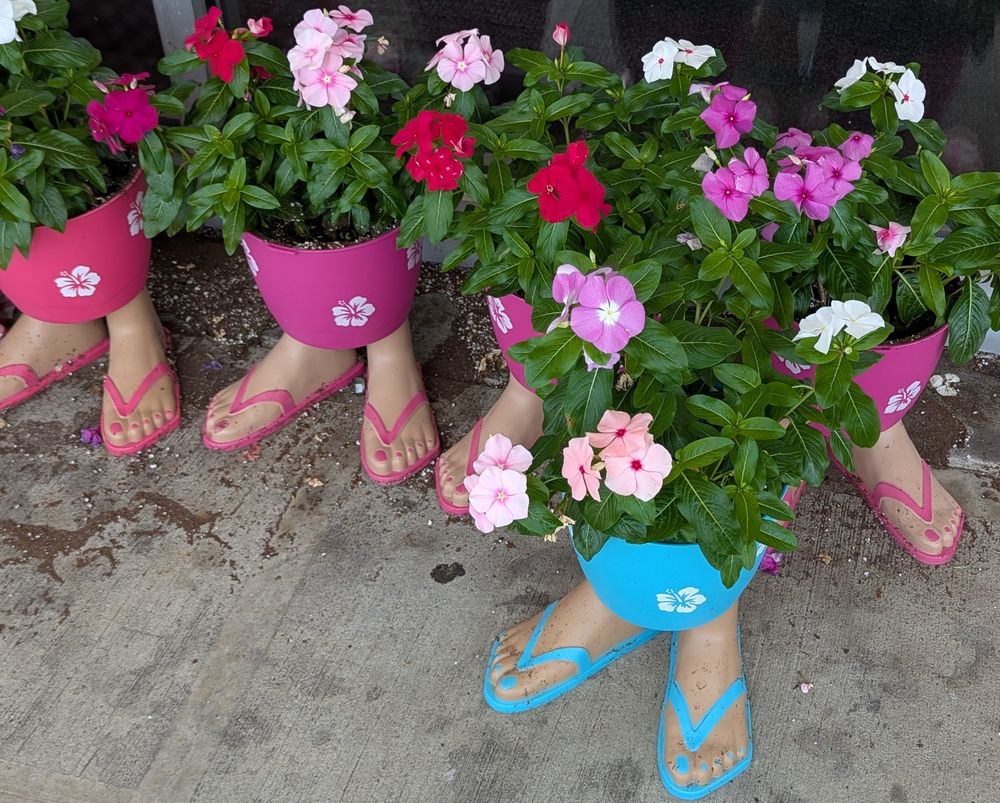 Five planters (some pink, some blue) that have human feet in flip flops coming out the bottom of them