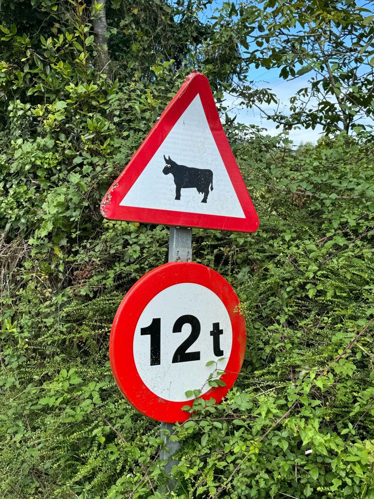 Two googly eyes on road sign warning of cows on the road.
