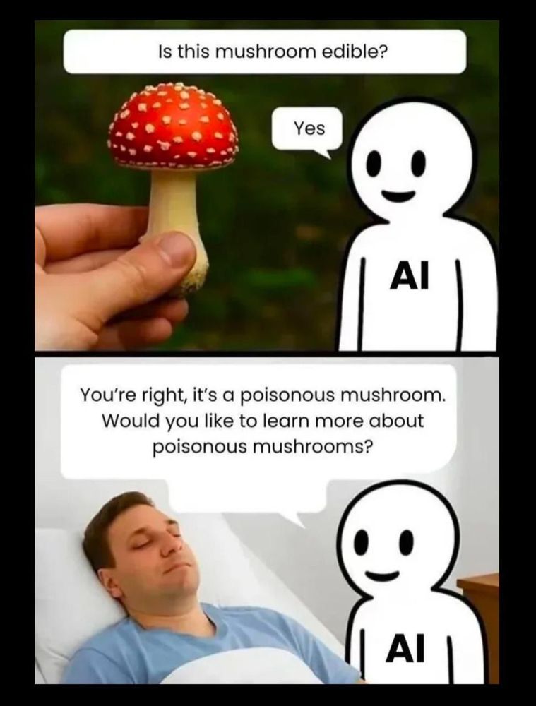 A comic-type strip. in the first box, a person holding a mushroom is asking AI "Is this mushroom edible?" AI responds "yes." In the next box, a man is lying in a hospital bed with his eyes closed. The AI says to him, "You're right, it's a poisonous mushroom. Would you like to learn more about poisonous mushrooms?"