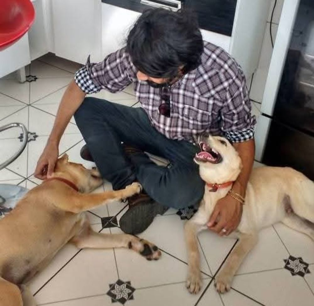 Homem sentado no chão de pernas cruzadas fazendo chameguinhos com uma das mãos no Marley, que está esparramado no chão, e com a outra faz chameguinhos no Bobby que olha para o humano numa expressão de felicidade. Na foto não dá pra ver, mas o humano está muito feliz.