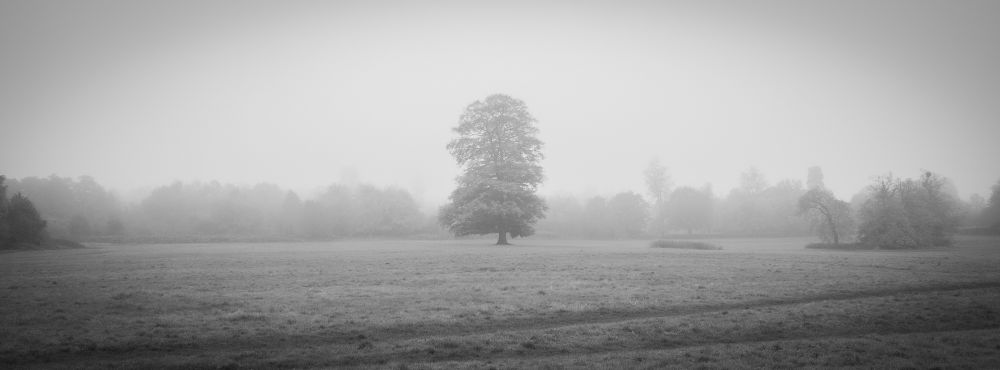 Sitters. Surrey November 2024