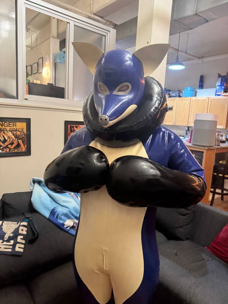 A blue inflatable latex fox suit is standing in a living area. Around the fox’s neck is a PVC inflatable collar and on his hands are large inflatable “bopper” mitts.