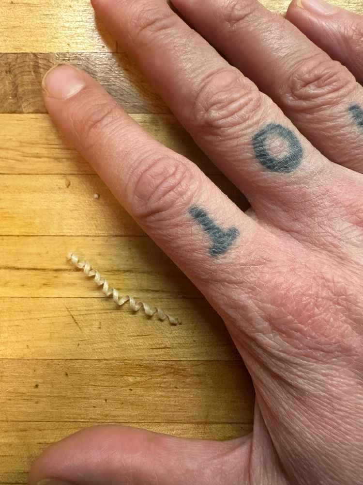 A perfect little curled wood shaving laying on the butcher block with a hand for scale 