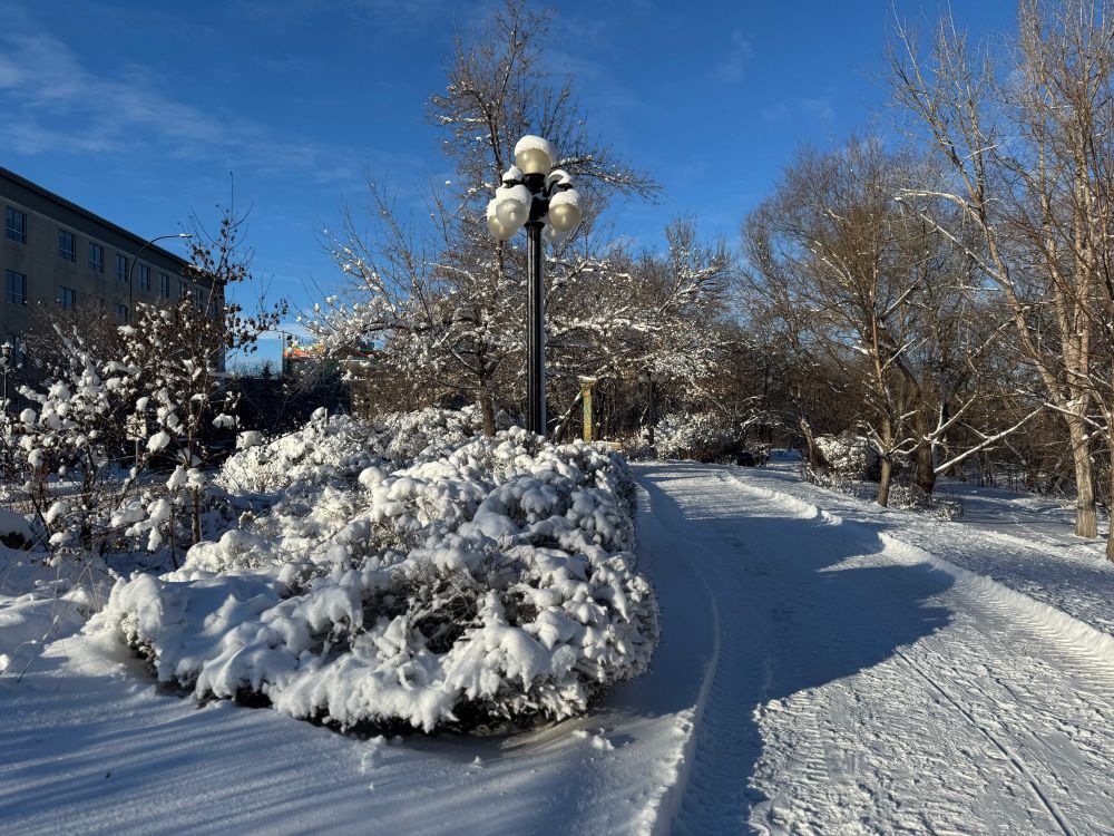 A pathway through a downtown Winnipeg park, with snow everywhere. 