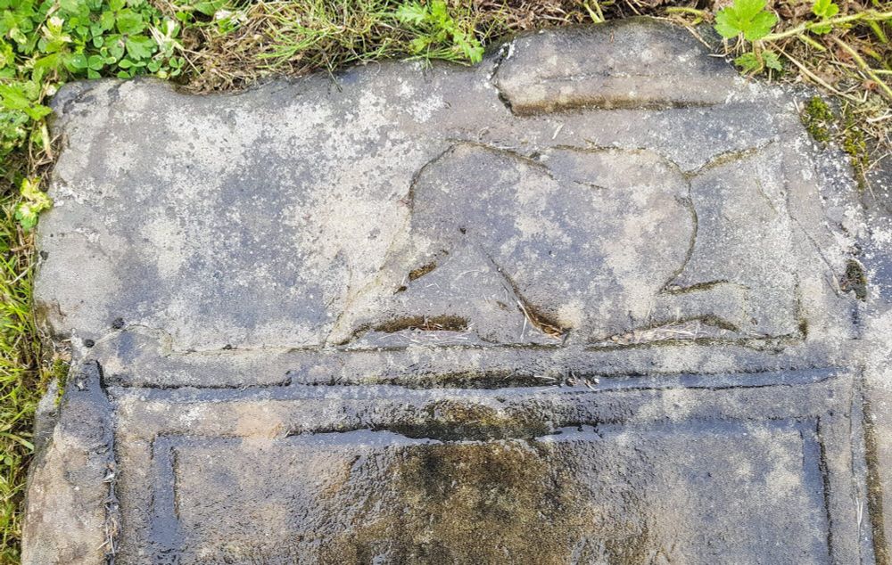 Close up of the top of the grave slab of Gráinne Ní Conalaí in the rain, showing the outline of a hound like creature with its head looking back. On the right hand side (although barely visible in this photograph), a hand is pushing a dagger into the Dobhar-chú's neck.
Clearer pictures can be seen here https://www.tonyoneill.org/2017/04/12/glenade-lake-and-the-legend-of-the-dobhar-chu/