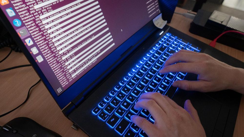 Cyberangriff auf die Polizei: Niederländische Regierung macht „staatlichen Akteur“ verantwortlich