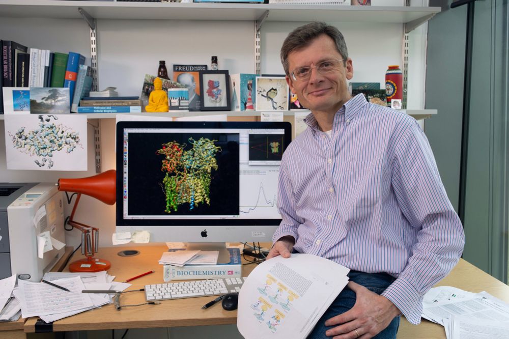 Ingo Greger sat in front of a computer screen displaying an AMPA Receptor structure