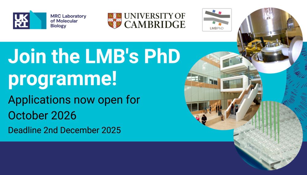 Join the LMB's PhD programme!
Applications now open for October 2026
Deadline 2nd December 2025