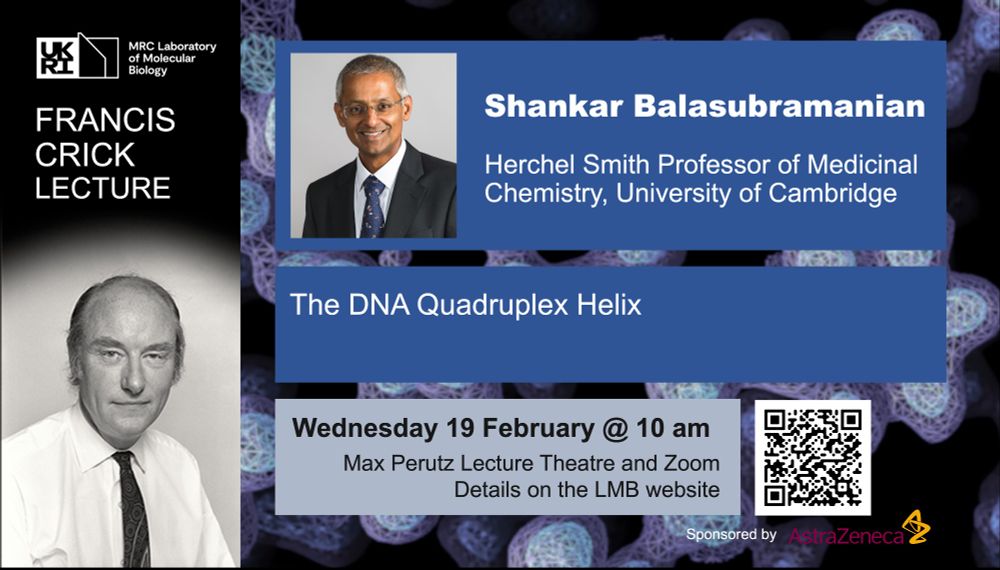 Francis Crick Lecture
Shankar Balasubramanian
Herchel Smith Professor of Medicinal Chemistry, University of Cambridge
The DNA Quadruplex Helix
Wednesday 19 February at 10 am
Max Perutz Lecture Theatre and Zoom
Details on the LMB Website
Sponsored by AstraZeneca