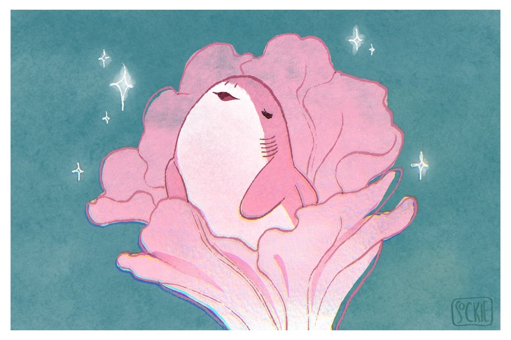 Digital art. A simplistic coloured doodle of a chubby pink shark emerging from the petals of a blooming chrysanthemum cherry blossom.