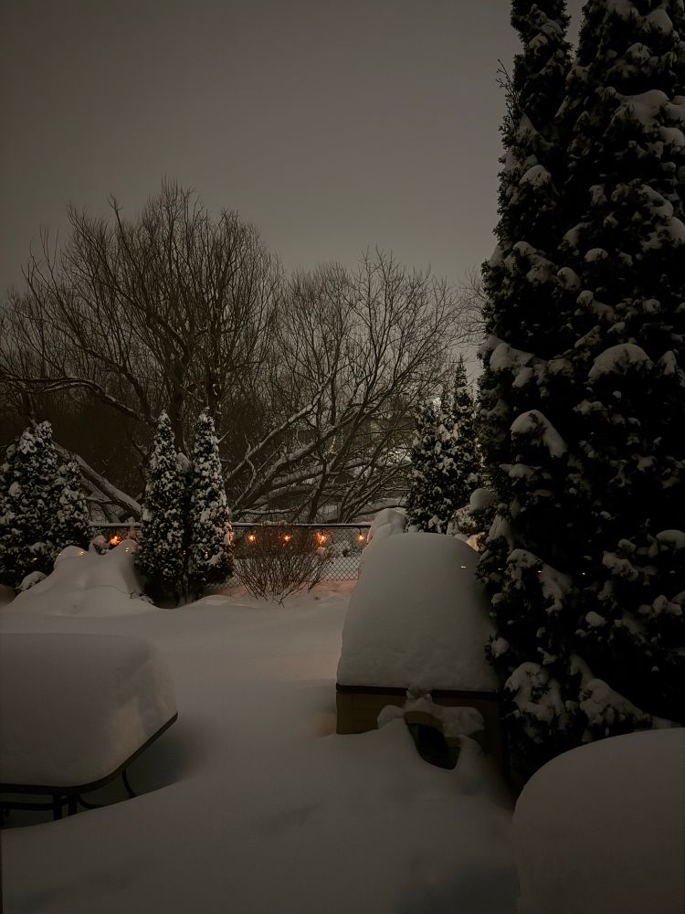 A nighttime winter scene of a snow-covered backyard. Tall evergreen trees and leafless deciduous trees stand in the background, their branches heavy with snow. A chain-link fence adorned with warm glowing string lights separates the yard from neighboring properties. In the foreground, a patio table, a small playhouse, and other objects are almost completely buried under thick layers of snow.