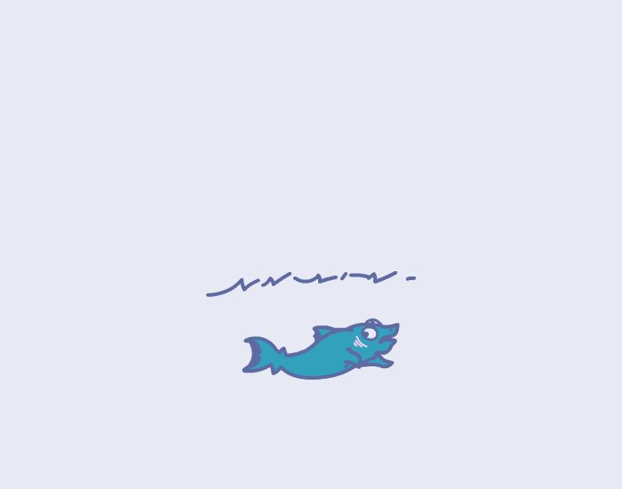 A fish! The carrots of the sea.