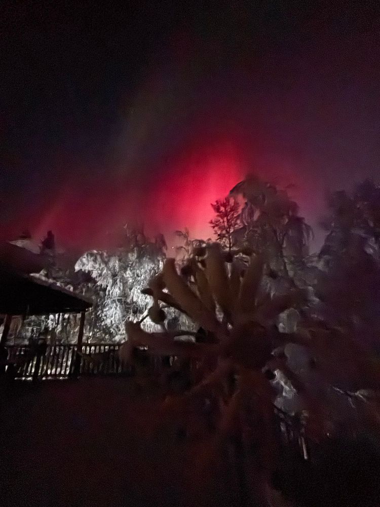 Auroras with much red