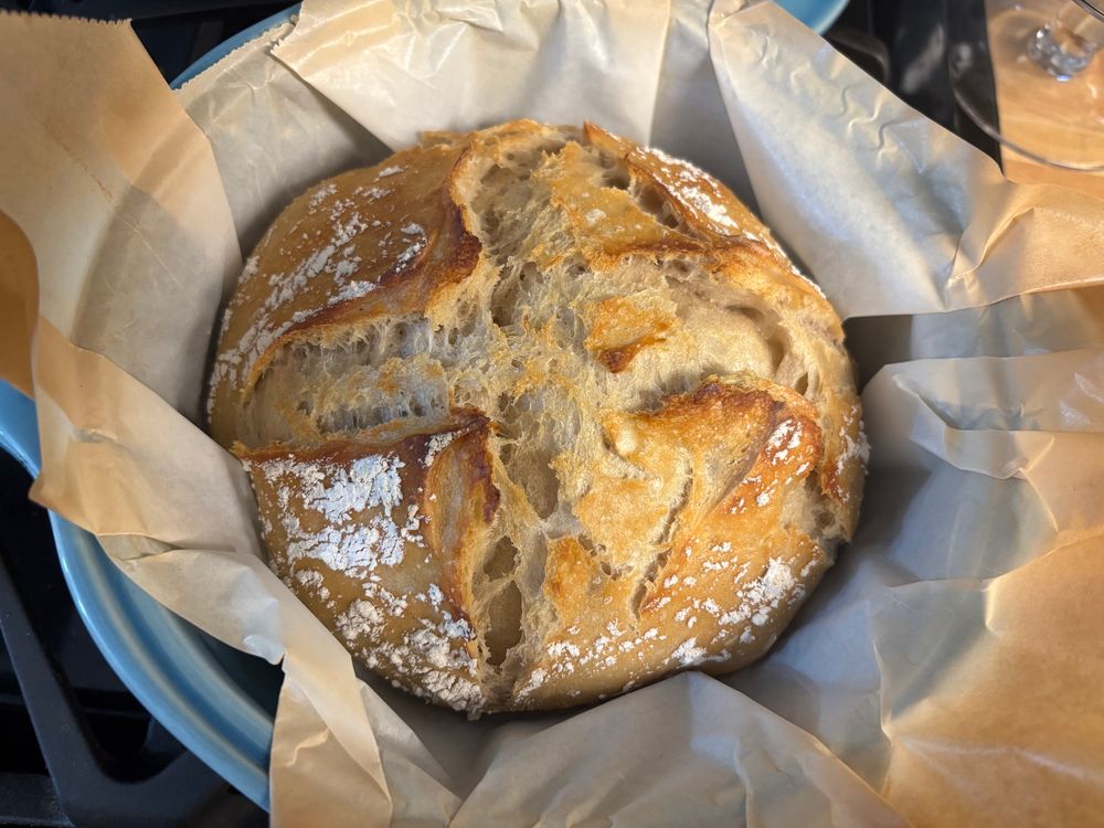A very round loaf of chewy no-knead bread rests in a blue Dutch oven lined with parchment paper 