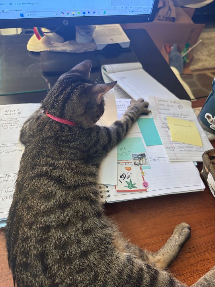 Teeny brown tabby laying on desk holds papers on desk down so that they do not get away. Very helpful 
