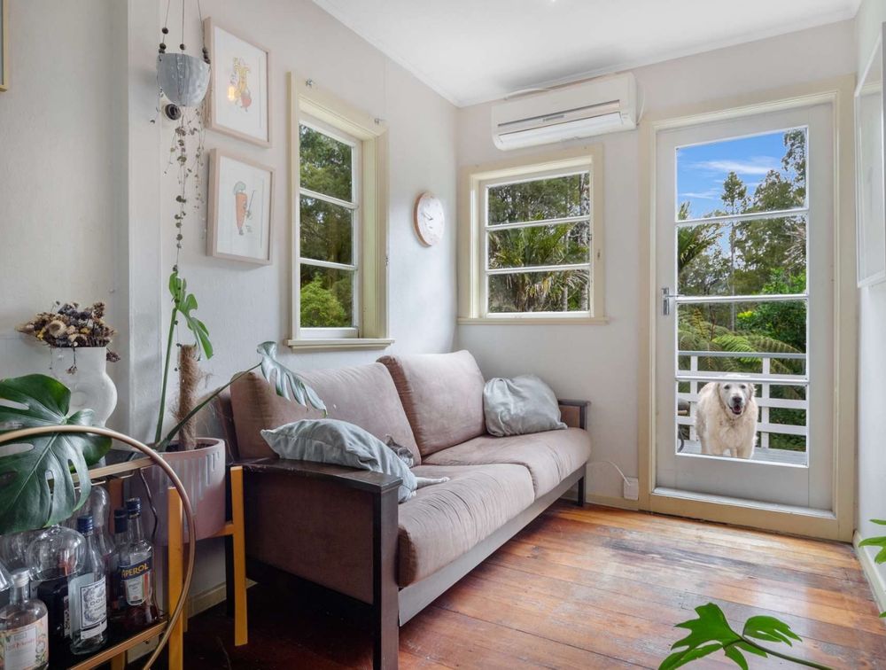 House listing photo from Trademe, NZ. it’s a small sunroom with a golden retriever staring in outside the back door. 