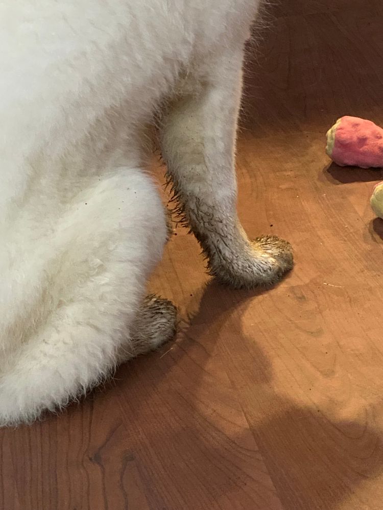 … so much mud and grit on her feet.
