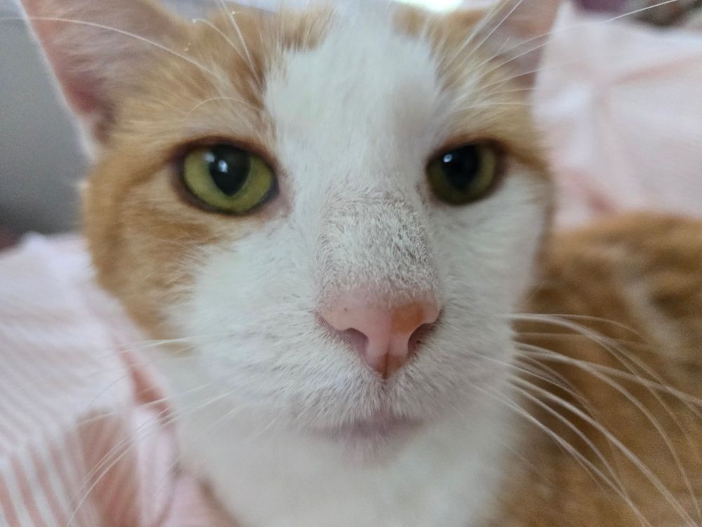 close up of his face. he looks annoyed