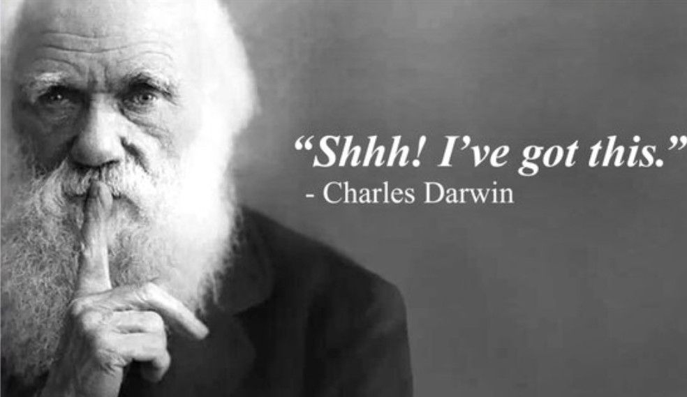 A photo of Championships Darwin holding his finger to his mouth. The caption says "Shhh! I've got this."