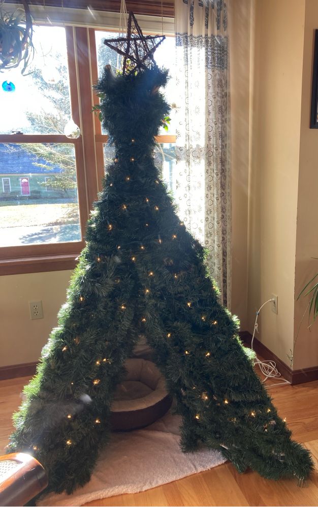 Christmas tree-pee with cat bed inside