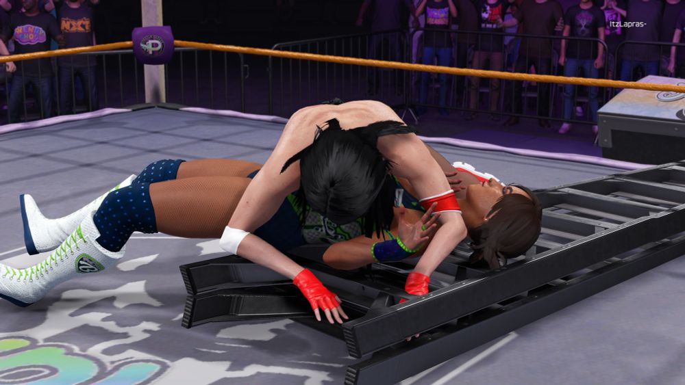 Renee crushing Princess Brightly in between herself and a ladder after she did her Renegation Finisher
