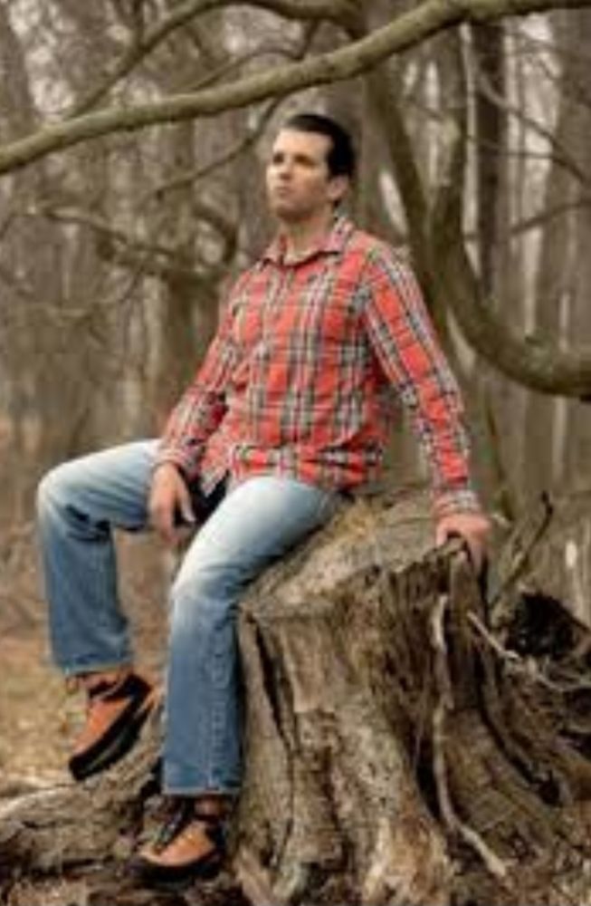 don jnr sitting on a tree stump