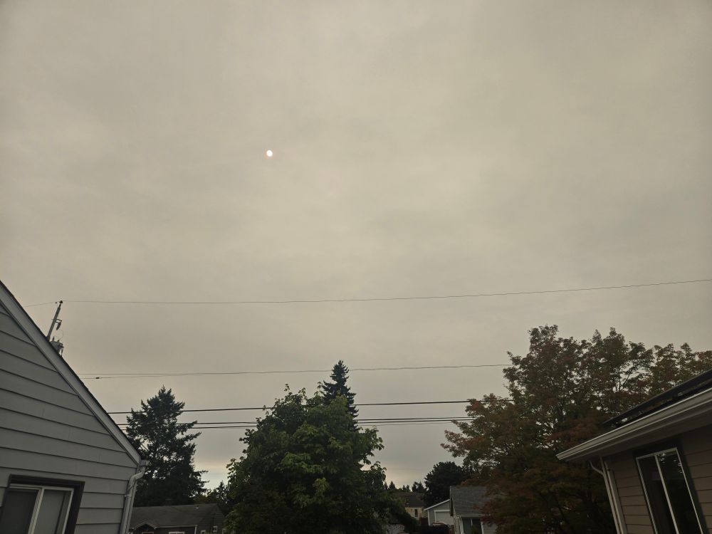 An inadequate picture of the smoke sky and the eerie 4 o'clock sun 