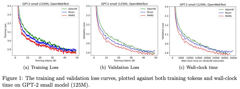 Figure 1: The training and validation loss curves, plotted against both training tokens and wall-clock time on GPT-2 small model (125M).