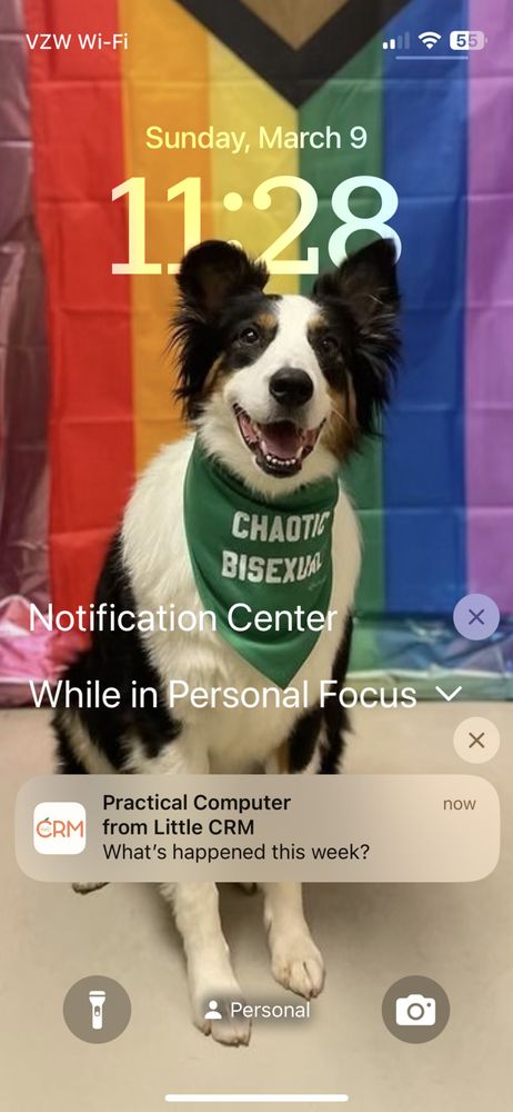 An iOS Lock Screen, with a push notification from Little CRM that says “What’s happened this week?” A dog with a bandana that says “chaotic bisexual” is in the background