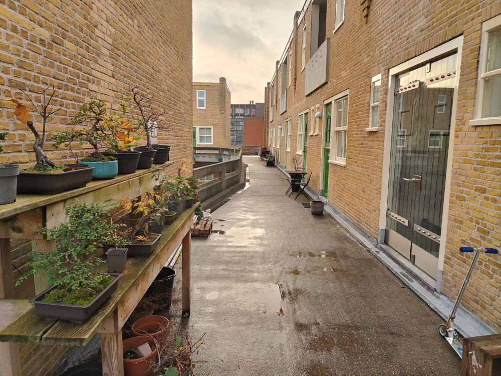 Gallery view with pot plants