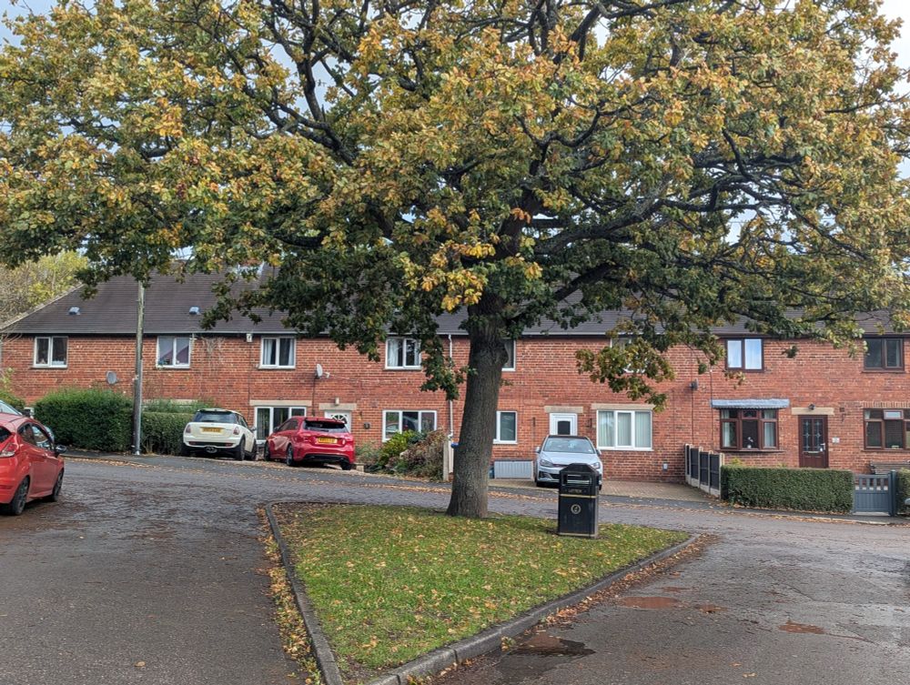 Terrace of housing beyond green and tree