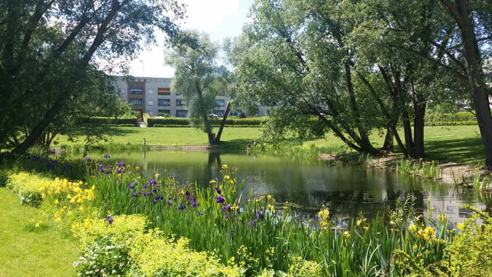 Interior view of estate showing wooded pond and green open space with flats to rear