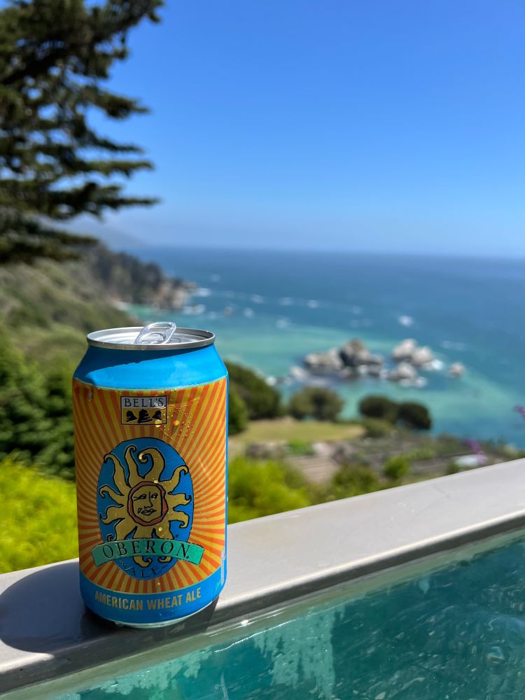 An Oberon beer perched in front of a view of the ocean 