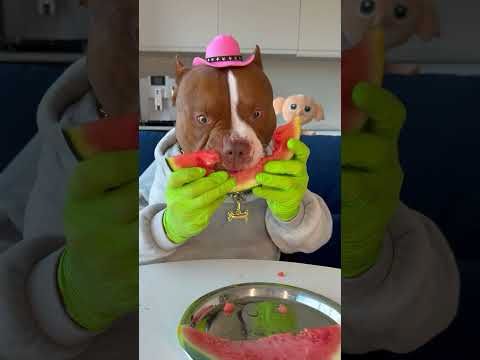 CHOCOLUNCH: Watermelon 🍉