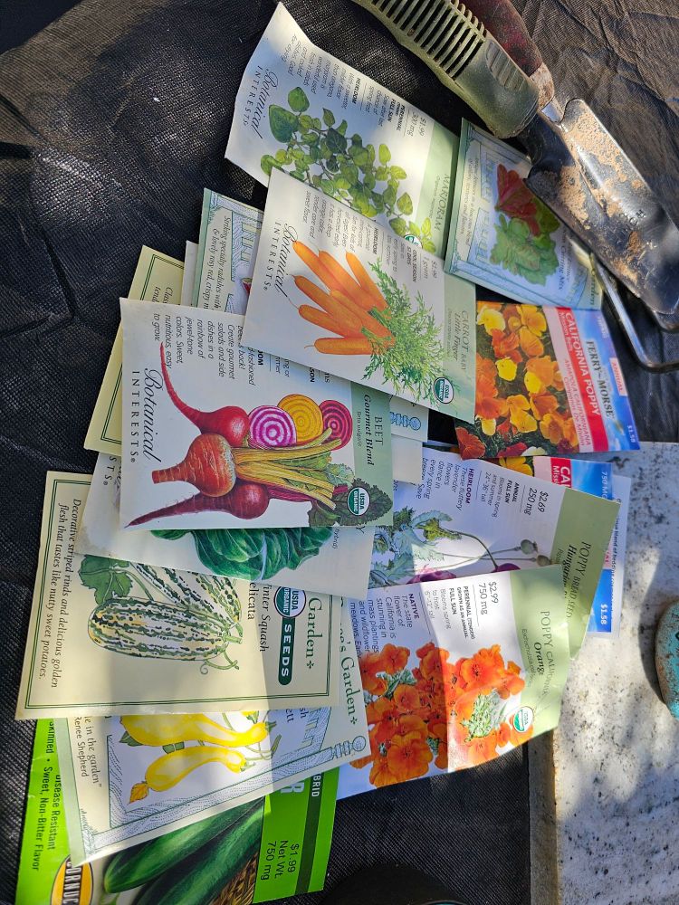 Not sure how many of these expired seed packets will have viable seeds, but every single one of them went into the ground. It will be better to thin them than to let the seeds go to waste. Looking forward to seeing this smorgasbord of growth once spring arrives. ☘️ 