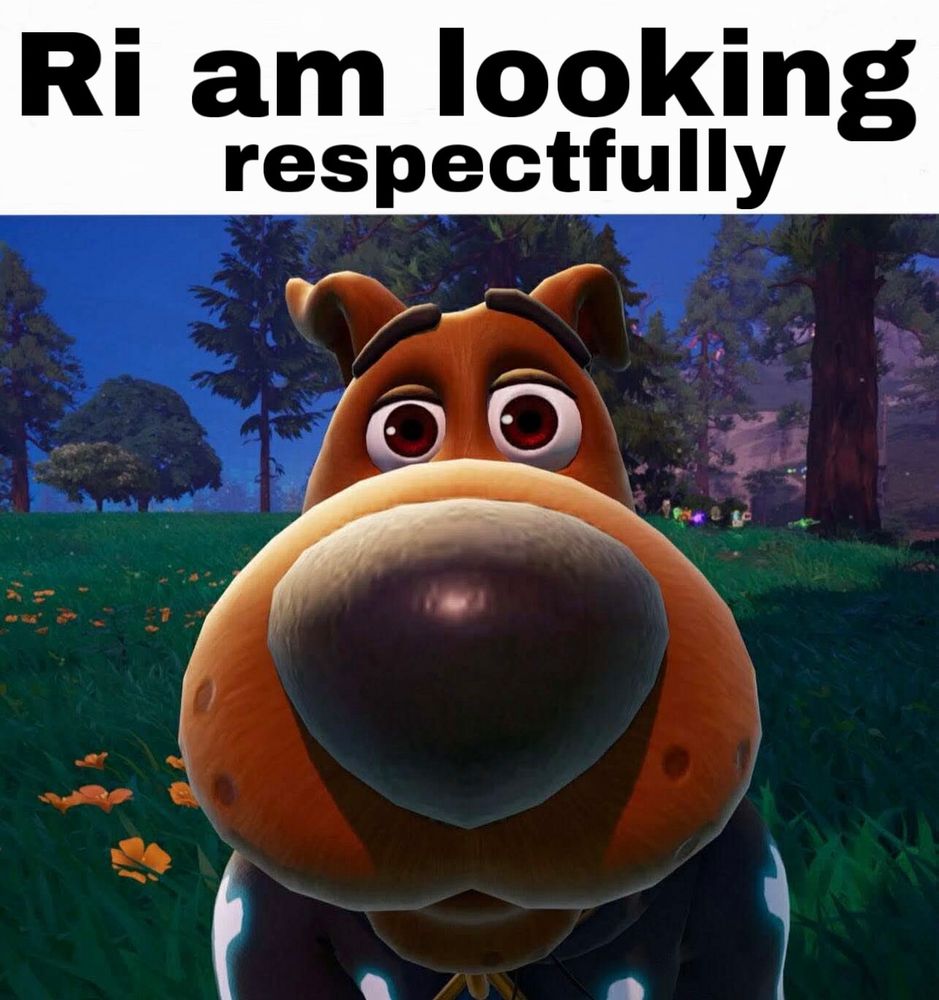 Scoobert “Scooby” Doo in Fortnite looking respectfully saying “Ri am looking respectfully”