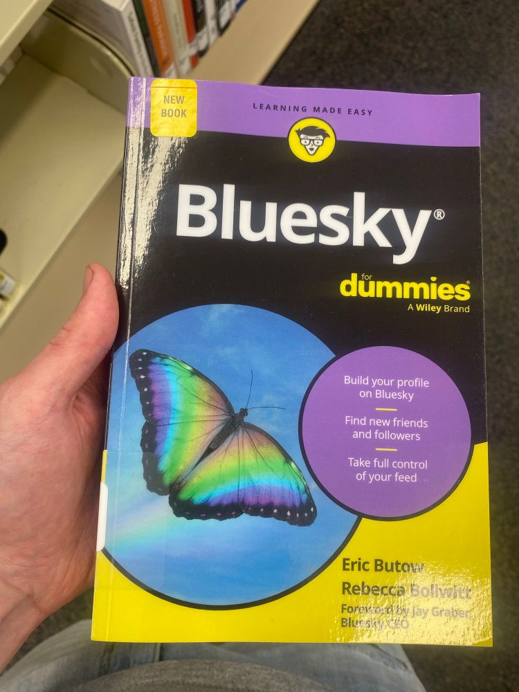 ‘Bluesky for Dummies’