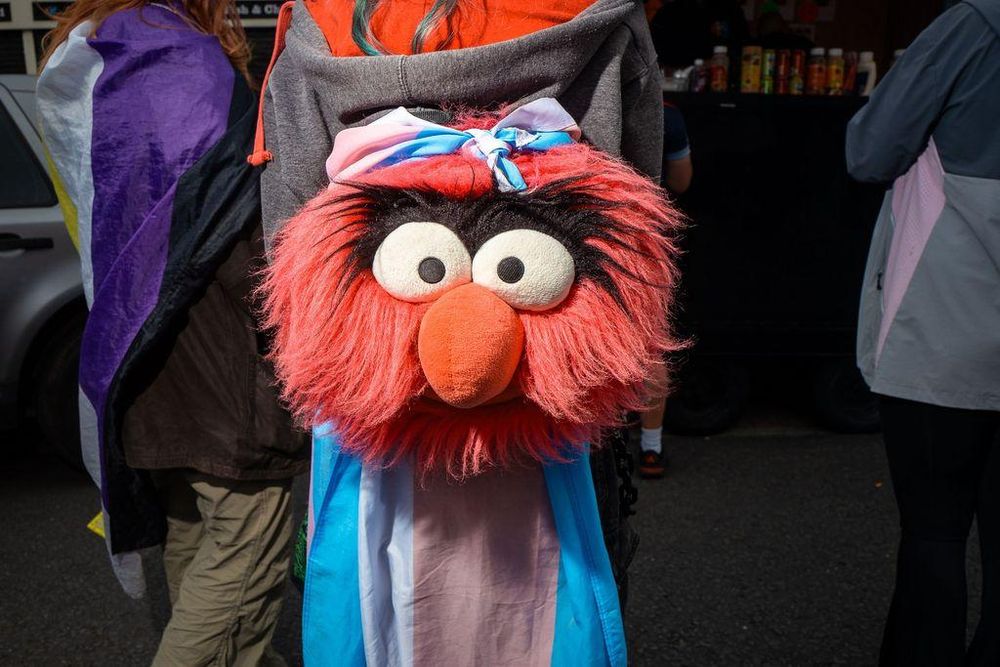 A person wearing a large stuffed animal head with a trans pride flag at Wirral Pride.
