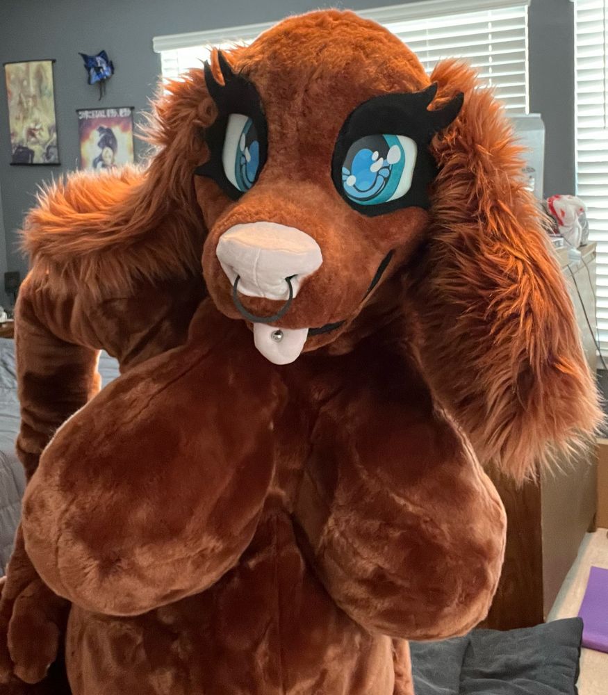 Cocoa brown female spaniel dog fursuiter poses for camera with cheeky lean forward.