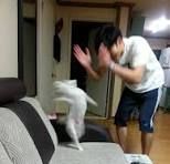 소파위에 흰색 강아지가 춤추듯이 맴돌고 있고 오른쪽에서 견주로 보이는 사람이 박수를 쳐주고 있다