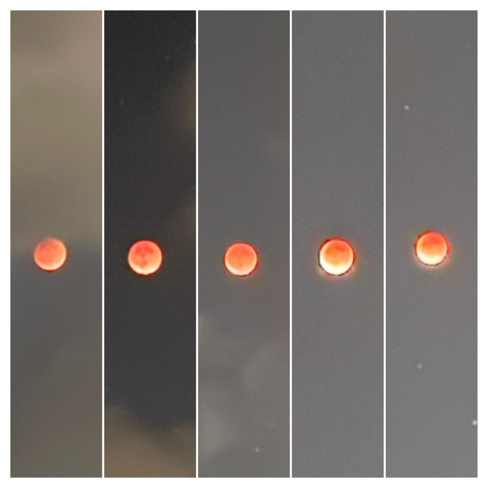 Phased of the blood moon during the eclipse. 