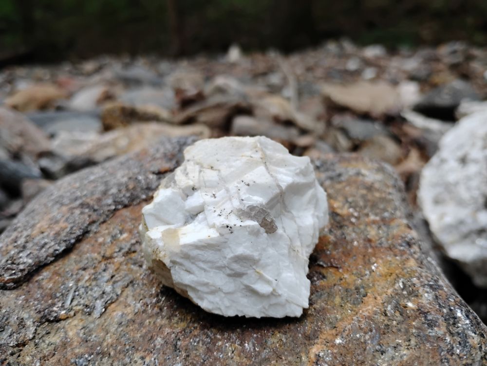 Dull white rock in a stream full of other rocks