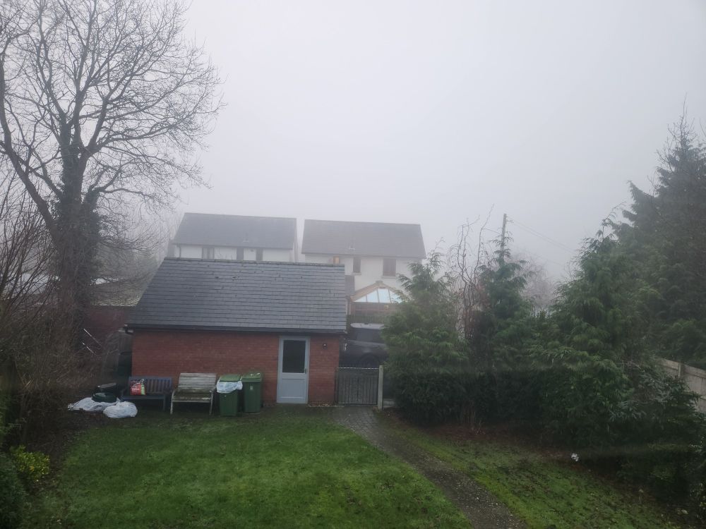 The garden of a house. The fog is so thick you can barely see past the end of the garden 