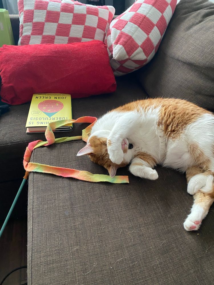 Orange and white cat sleeping on its side on the couch with its arm over its head and a colorful fabric ribbon on a stick toy pulled halfway up onto the couch next to him