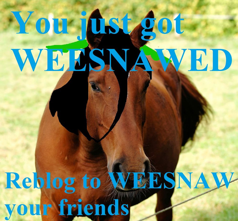 A horse with Hemloch's hairstyle looks at the camera, straight vibing. The text from the skeet is displayed in blue font. The meme is so beautiful, it compels you to repost it while whispering WEESNAW quietly to your device.