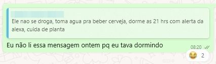 Print de conversa no whatsapp. A mensagem respondida diz "Ele nao se droga, toma agua pra beber cerveja, dorme as 21hrs com alerta da alexa, cuida de planta"

Respondi essa mensagem com "Eu não li essa mensagem ontem porque eu tava dormindo"
